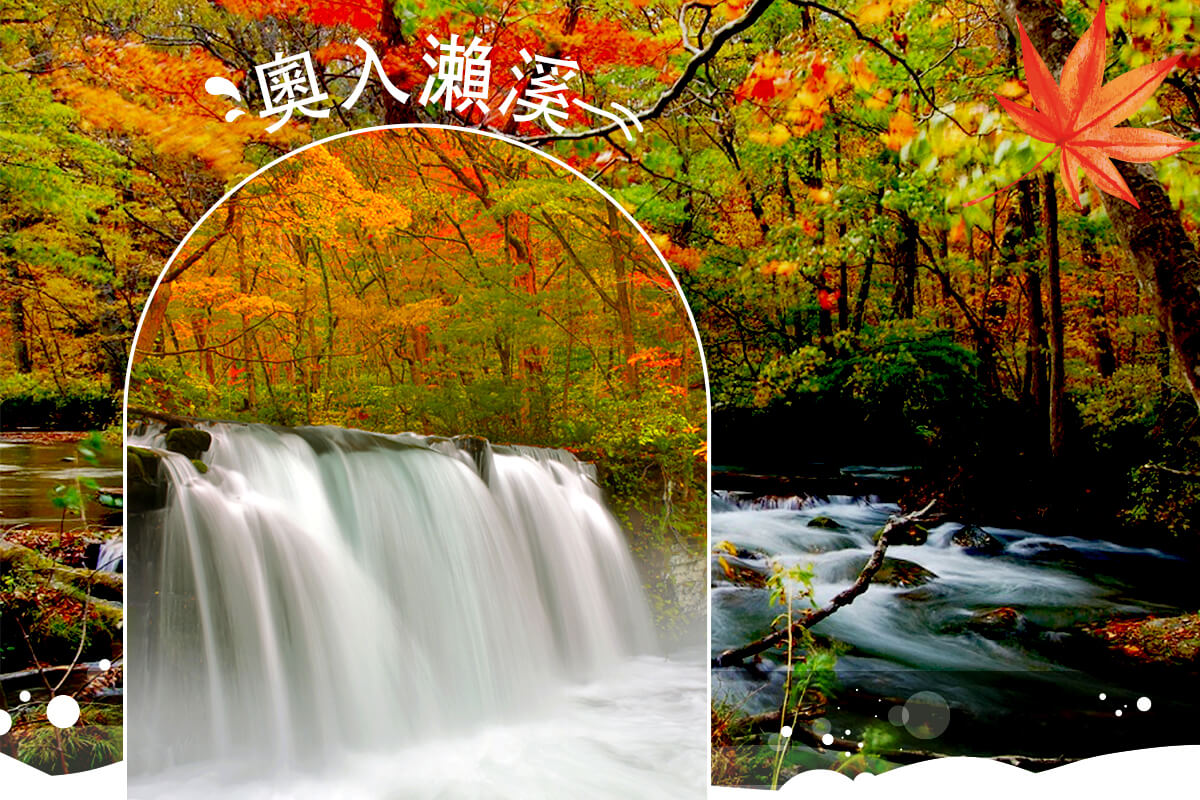 【日本】 楓東北奧入瀨溪.睡魔之村.角館小京都.鐵道體驗溫泉5日(青/仙)